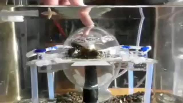 Small scale model with water above and below