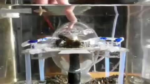 Small scale model with water above and below