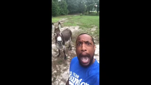 Viral Video Of A Man Singing With His Donkeys