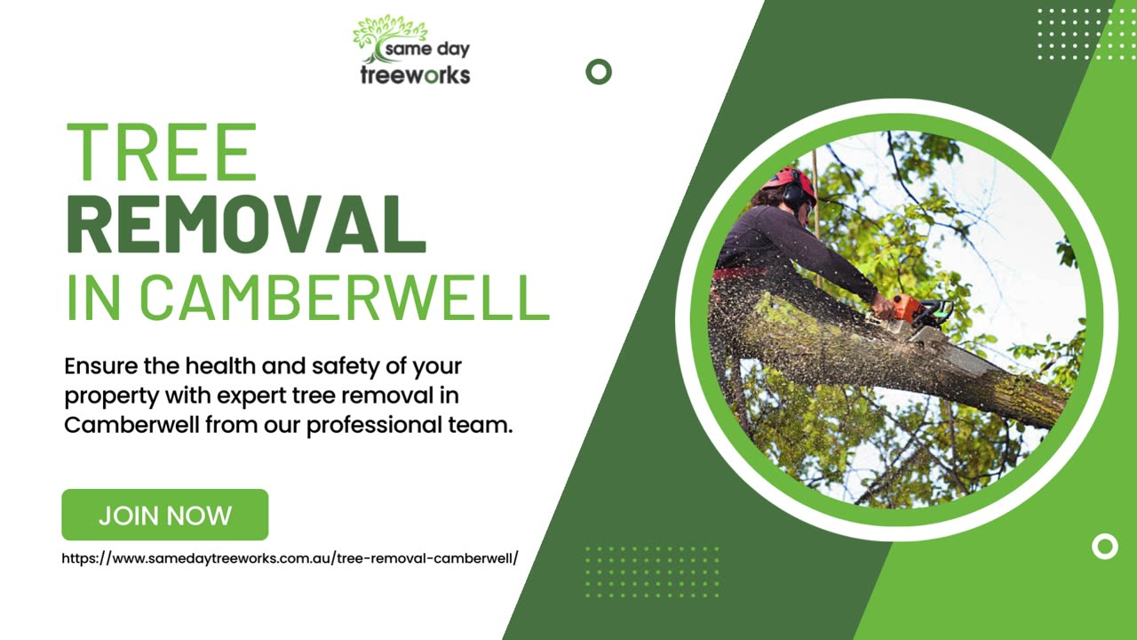 Expert and Affordable Tree Removal in Camberwell with Same Day Tree Works