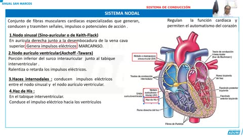 ANUAL ADUNI 2023 | Semana 31 | Biología | Química S2 | Psicología S2