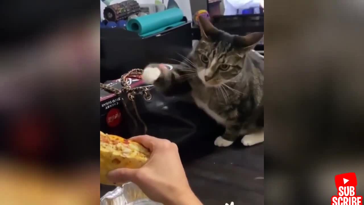 unusual reaction