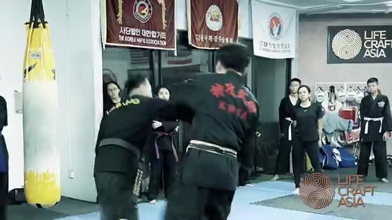 Hapkido