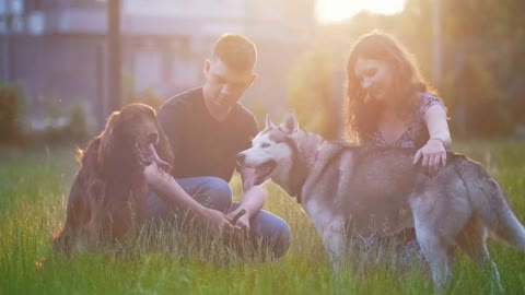 Young couple with dogs have a rest outdoors on the grass at summer sunset