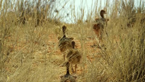 Momentos mágicos. El hechizo de la naturaleza