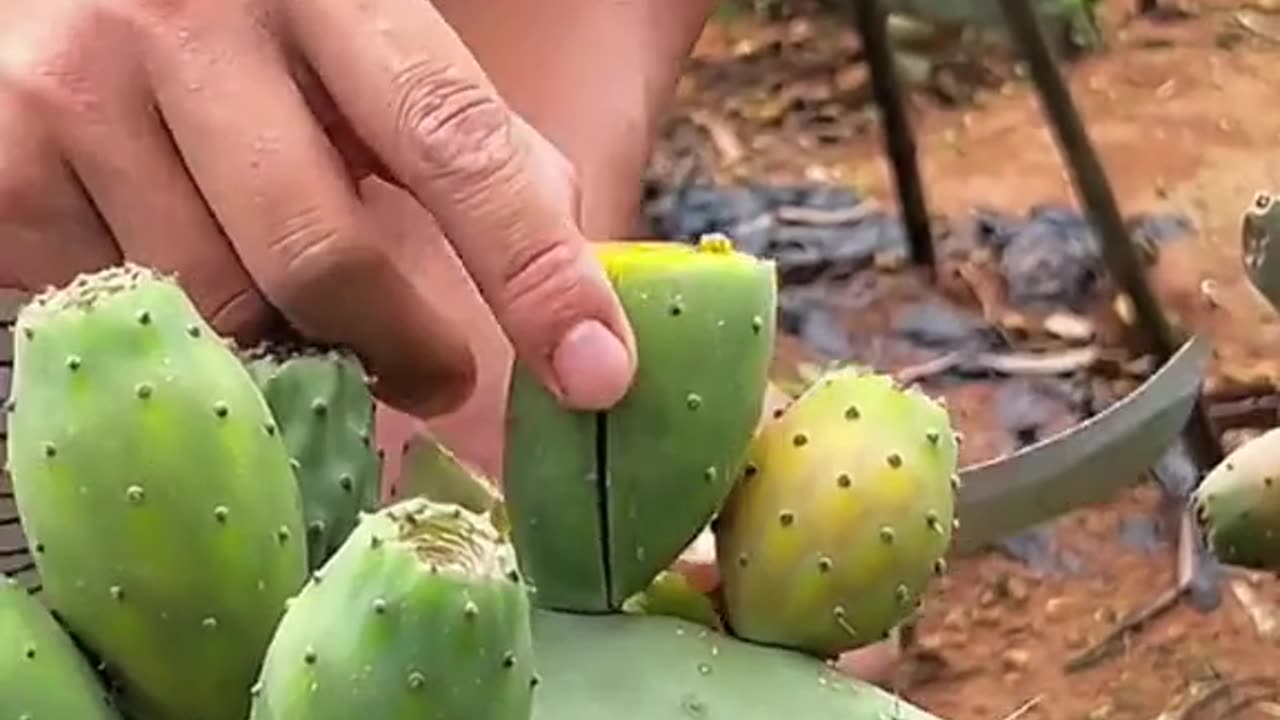 What is the name of this fruit 🍑🍑🍑