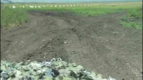 🇷🇺 Demining Road in Novoprokopovka Area from American Mines | RCF