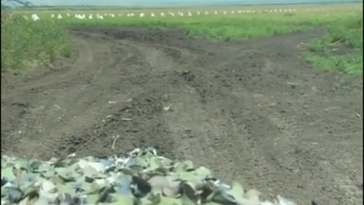 🇷🇺 Demining Road in Novoprokopovka Area from American Mines | RCF