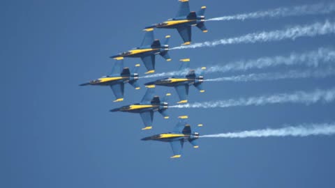 Blue Angels are Wild Angels at Lemoore NAS. Home of The Pilots in Top Gun #2