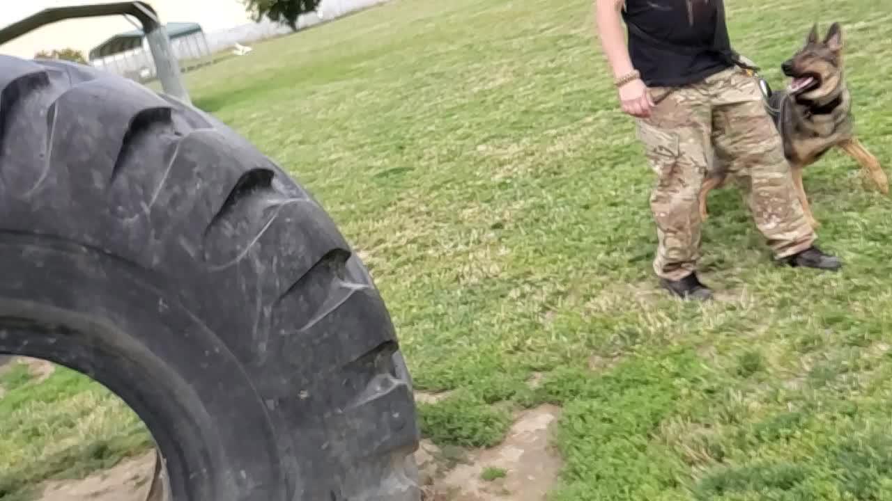 Samantha and the tire at the park
