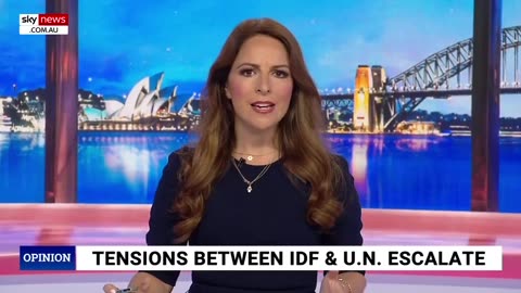 Sky News reporter DESTROYS United Nations with FACTS and LOGIC.