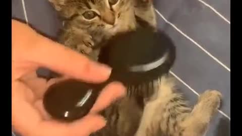 She really like this thing