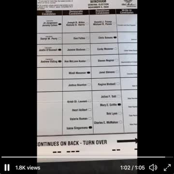 New Hampshire Audit Errors