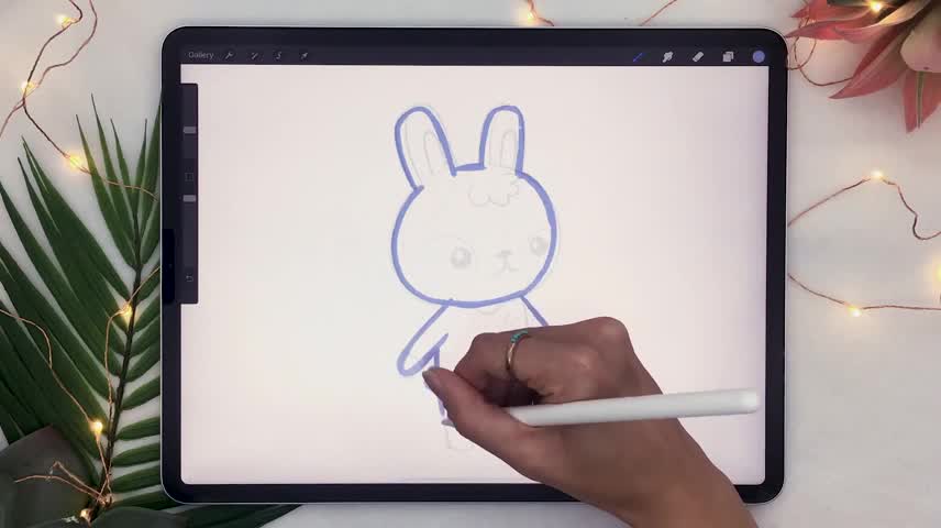 Outline Design Of Rabbit Animation