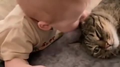 Oh..no..no..no..Baby & cute Cat funny Video