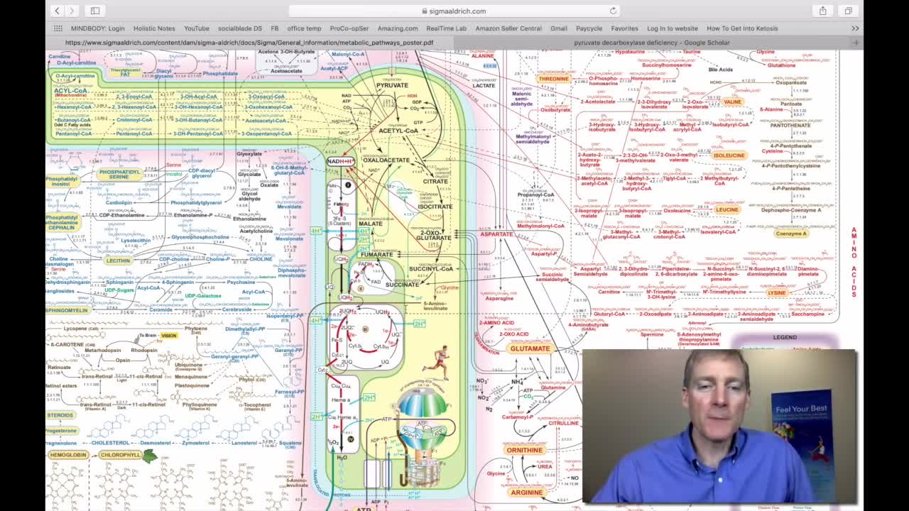 Reverse Engineer the Chronic Disease Cycle! 286