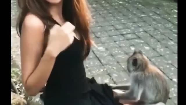 Monkey gone naughty with Girl , Viral video , animal funny videos