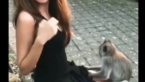 Monkey gone naughty with Girl , Viral video , animal funny videos