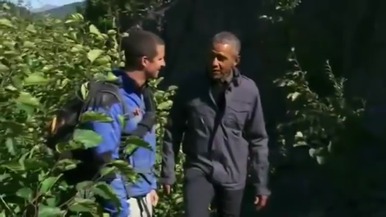 THE OBAMA HOAX