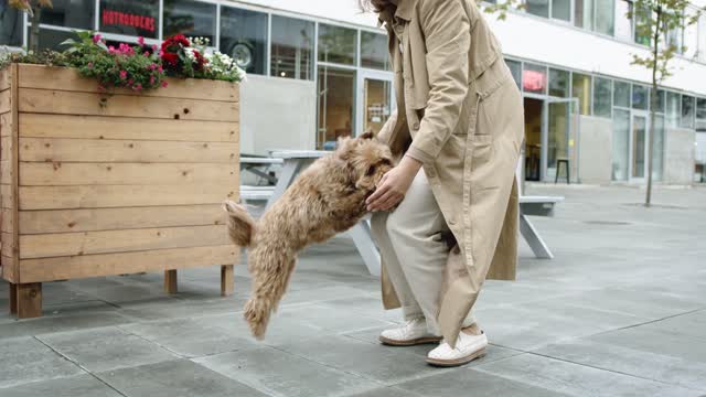 Cute Dog with cute girl teaching baby dog how to ??