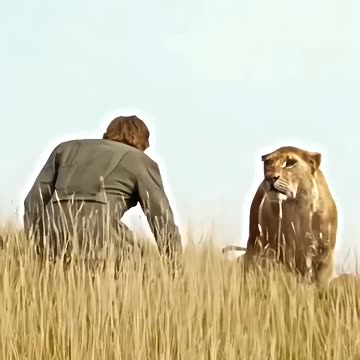 Tarzan meets Lions🦁 #thelegendoftarzan #marvel #marvelstudious