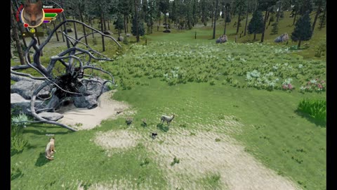 Wolfquest Ultra Iron Wolf Challenge- 03