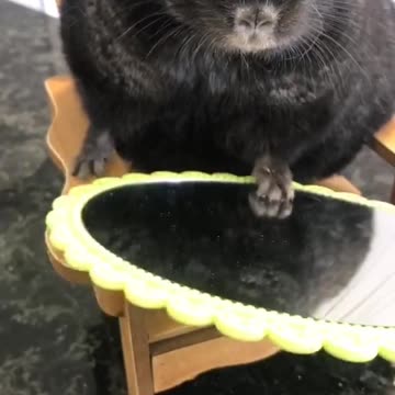 This brightened up my weekend!