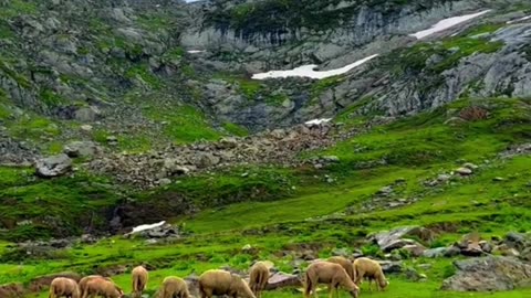 Beauty's of nature #353