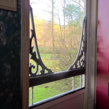 Good Morning ☕️ 😊