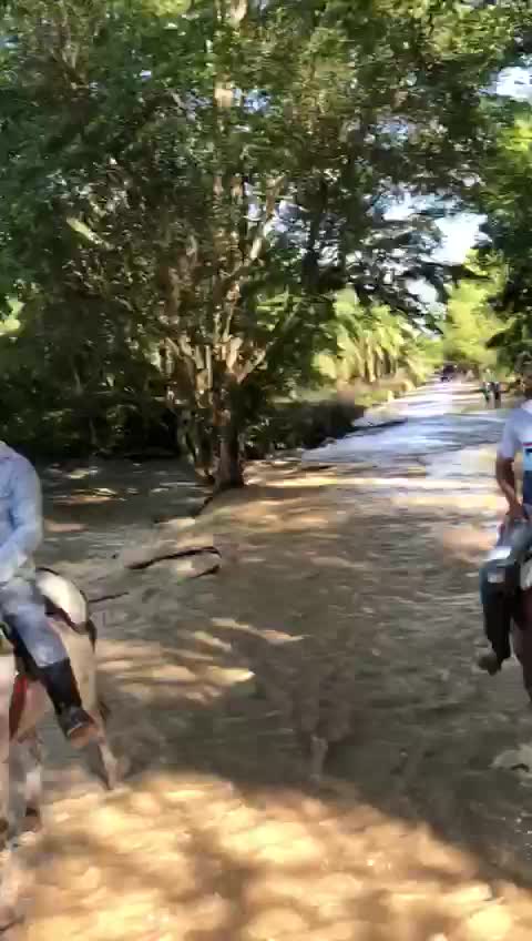 Imágenes aéreas muestran inundaciones por el rio Lebrija en Santander