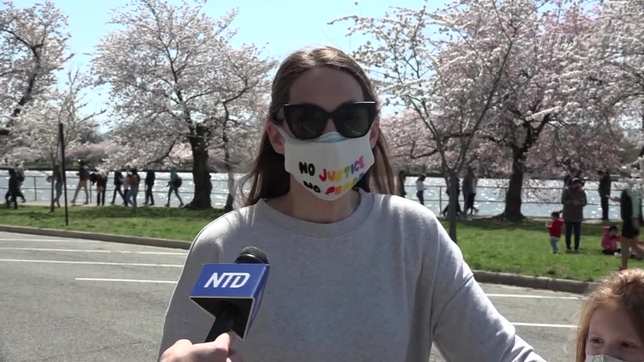 DC Cherry Blossoms Reach Peak Early