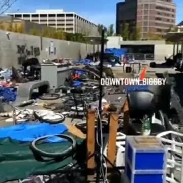 This is not poverty.This is prison mentality, drug addiction and mental illness enabled and allowed