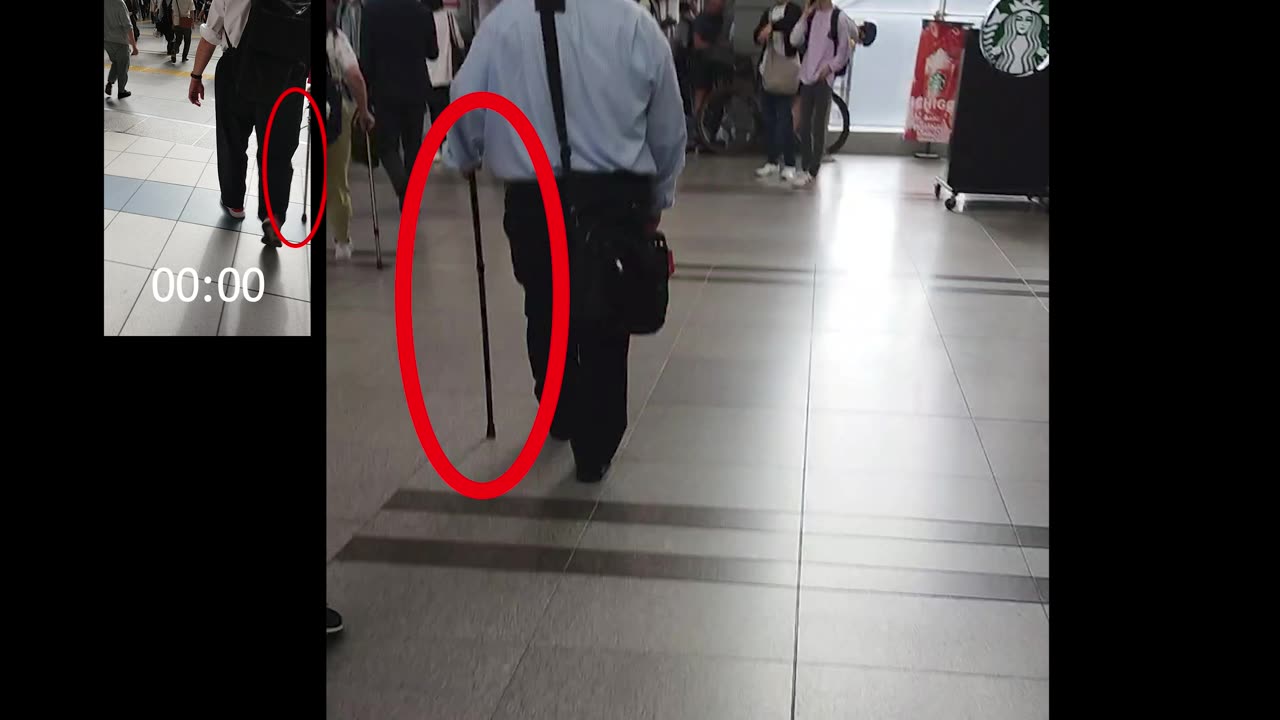 日本人ゾンビ化中？：品川駅 2024/05/23