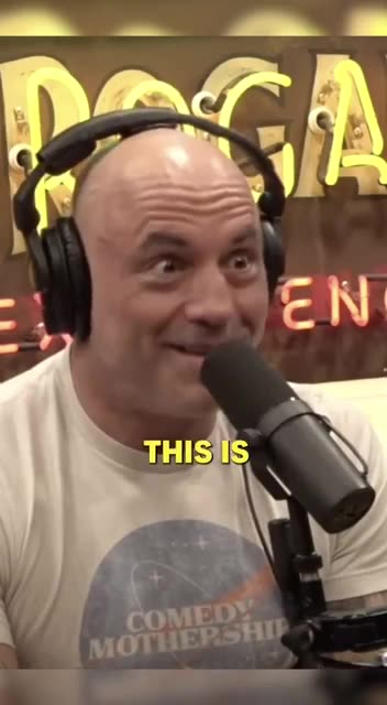 The art of the possible