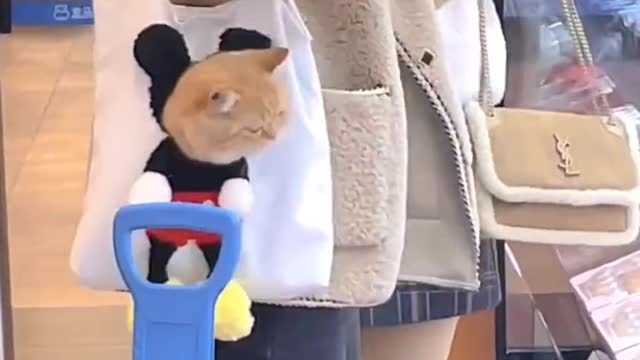 Cat Bag!!