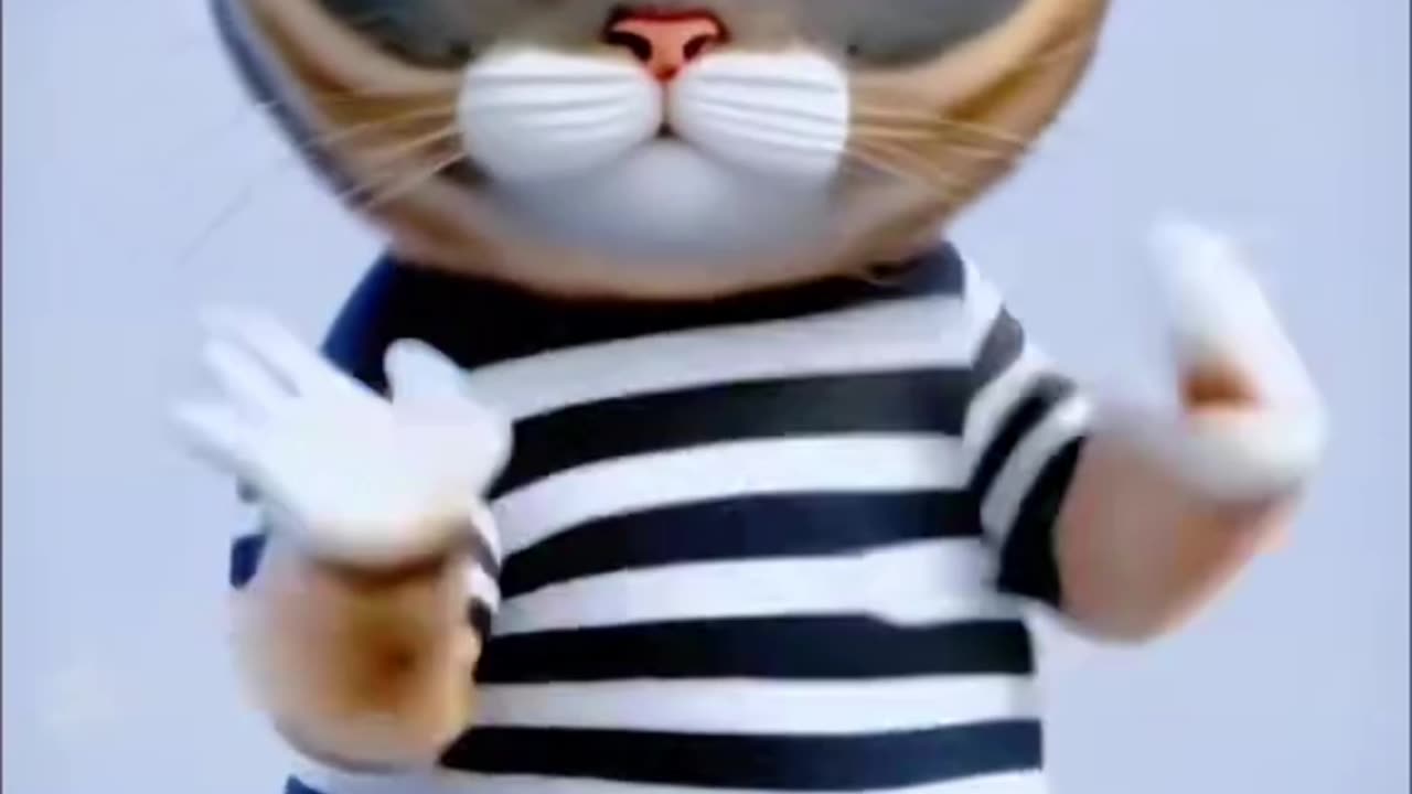 Funny cat dance video