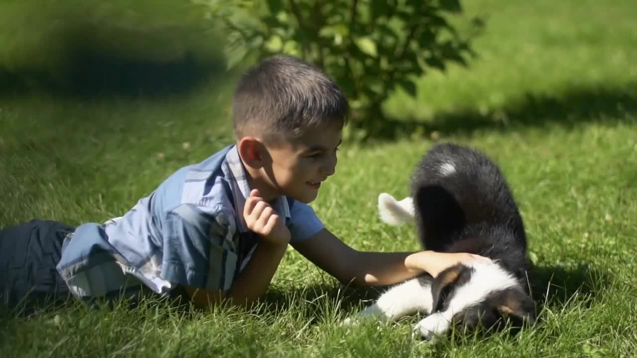 Little attractive boy plays with a small dog in the park