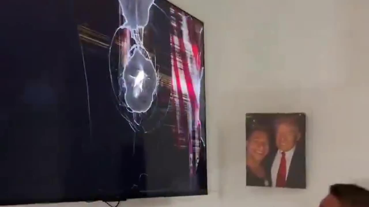Every time Kamala Harris is on TV this is what I Wanna Do