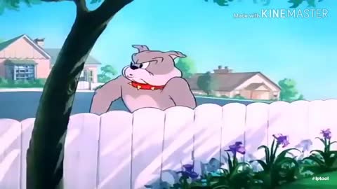 Funny Tom and Jerry Cartoon