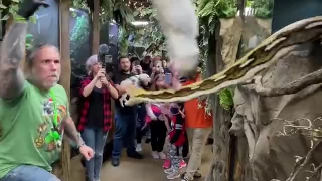 Snake attack
