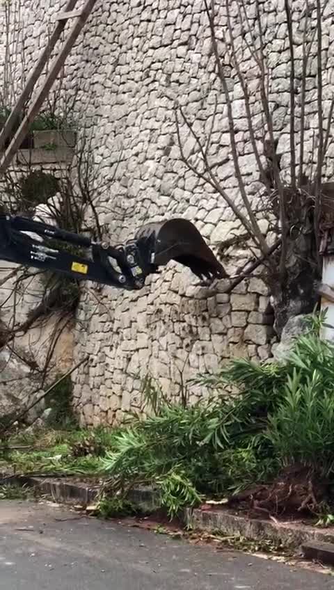 funny|prank|jokes|funny jokes|dad jokes|funny memes|funny video|fun|laughing|funny animal|knock