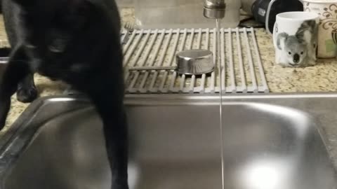 20240827 053753 Tux's Drinking Problem
