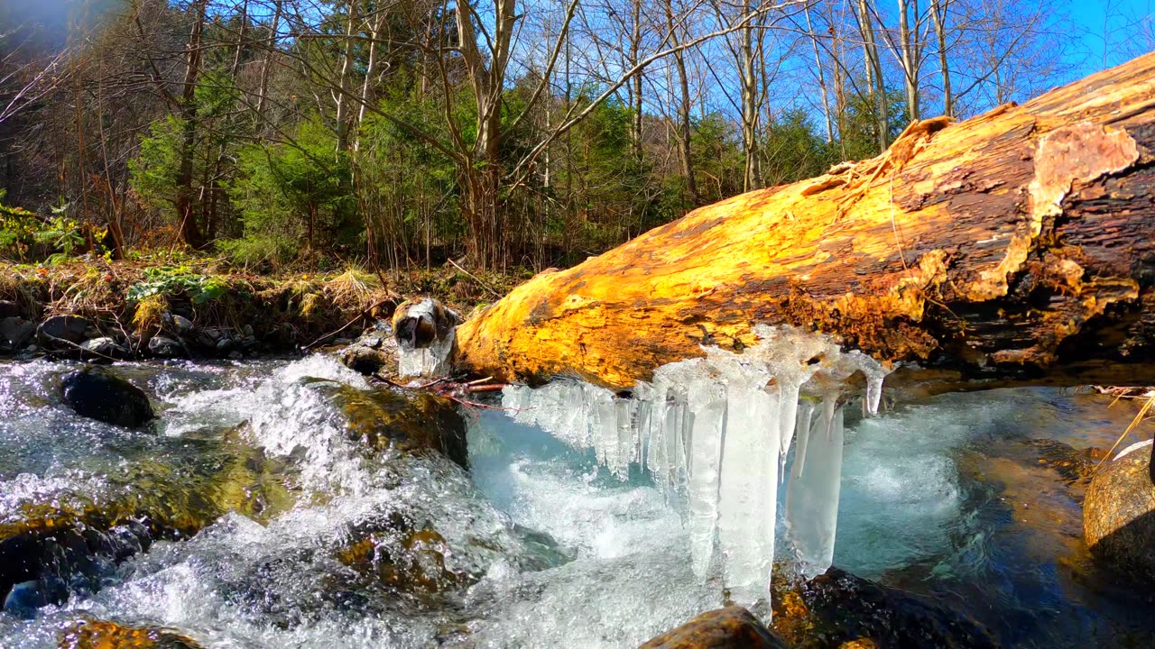 4K Relaxing River - Ultra HD Nature Video - Water Stream & Birdsong Sounds - Sleep/Study/Meditate