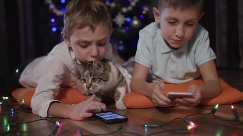 Close up of two young guys lying on orange pillows on the floor at home with their cat