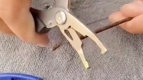 This is a beautiful and charming water-dwelling species