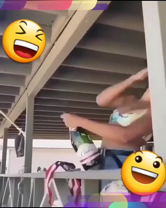 Magic for Dogs Is Adorable