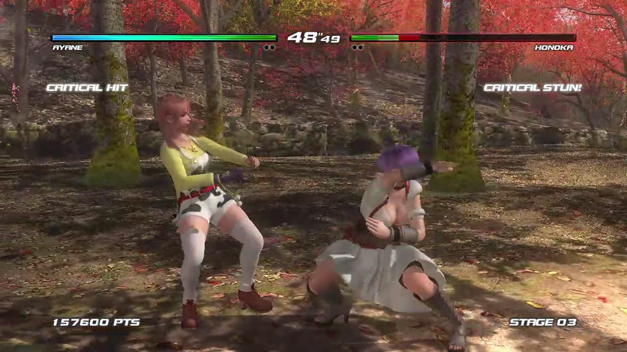 Ayane vs Honoka