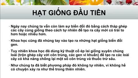 3. Lớp Nông Nghiệp Keshe Plasma Công Cộng 3