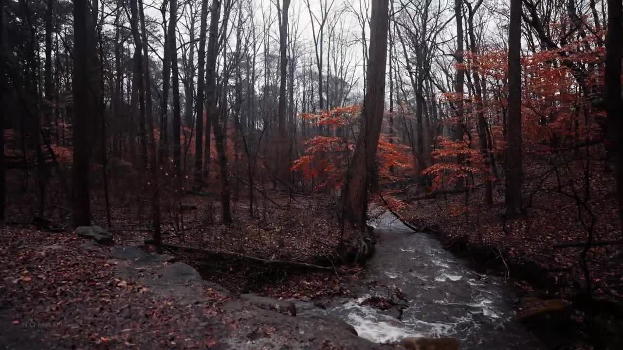 Relaxing Walk in Thunderstorm, Binaural Rain and Nature Sounds for Sleep and Study | 4k ASMR