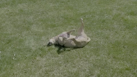 Happy Girl Enjoying Freedom To Run On A Beautiful Spring Day